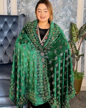 মালয়েশিয়ান গিরগিটি স্টোন ওয়ার্ক করা ভেলবেট সাল ds g aaf