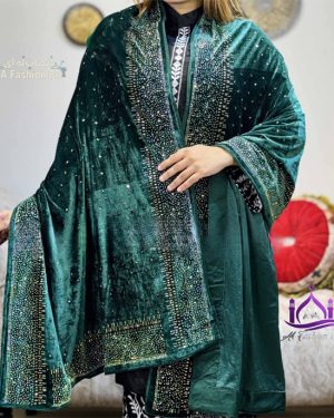 মালয়েশিয়ান গিরগিটি স্টোন ওয়ার্ক করা ভেলবেট সাল  jr aaf green