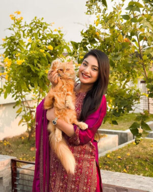 awsoom jam colour vc Pakistani desing Unstitched Salwar Kameez soft chinoon solk fabric