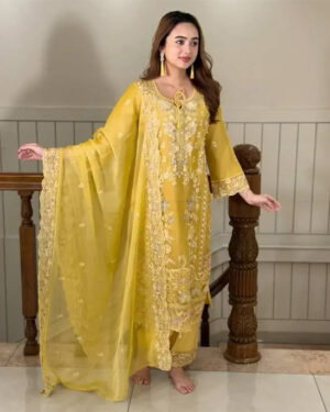 AAF KN -3D WORK 3C -AWSOOM Yellow - Readymate pakistani desgine Luxry chiffon